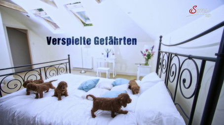 Episode 180 (2015) - Episode 180 poster and promotional image