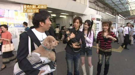 Dog Specialty Shops (2006) - Episode 331 poster and promotional image