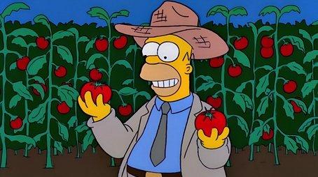 Los Simpson115