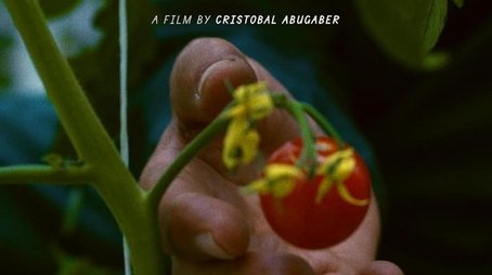 The Perfect Tomato (2024) poster