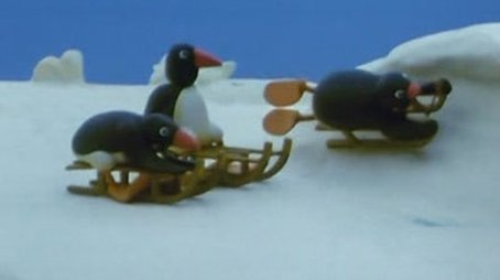 Pingu beim Schlittenrennen