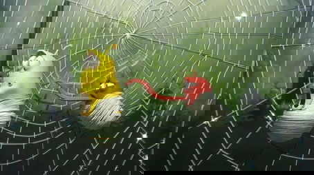 Spider (2011) - Episode 72 poster and promotional image