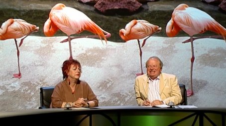 Flora and Fauna (2009) - Episode 10 poster and promotional image