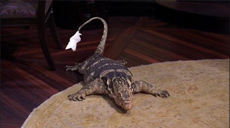 101 Lizards (2012) - Episode 4 poster and promotional image