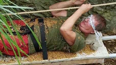 I'm a Celebrity...Get Me Out of Here! Сезон 12