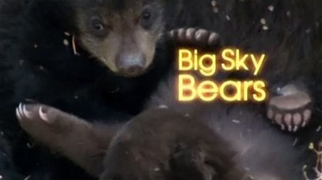 Big Sky Bears (2006) - Episode 15 poster and promotional image