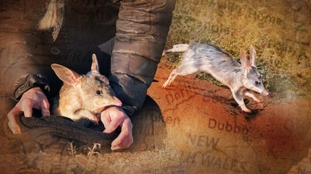 Into the Wild (2022) - Episode 6 poster and promotional image