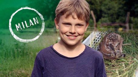 Schau in meine Welt! Сезон 1