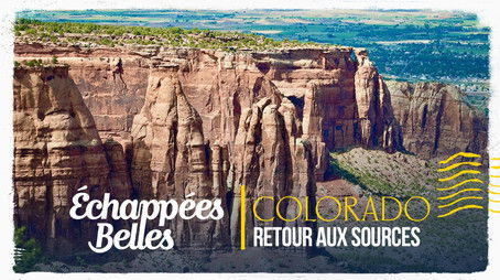 Episode 14 (2025) - Episode 14 poster and promotional image