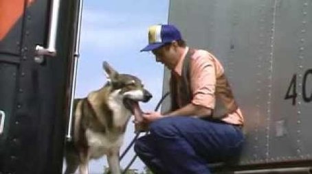 Trucker (1983) - Episode 5 poster and promotional image