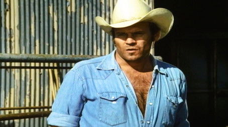 Cricket (1982) - Episode 14 poster and promotional image