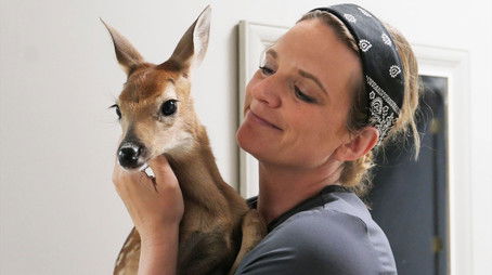 It’s a Won-Doe-ful Life (2022) - Episode 2 poster and promotional image