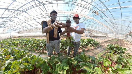 A Helping Hand for Our Fellow Sri Lankans (2022) - Episode 10 poster and promotional image