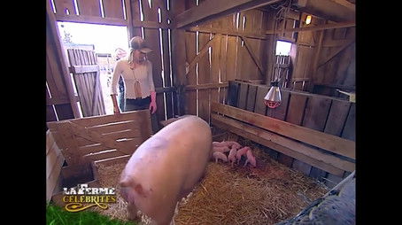 Episode 34 (2004) - Episode 34 poster and promotional image