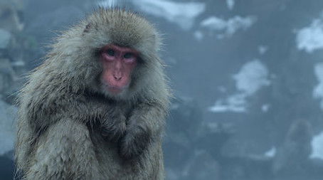 Frozen Nights (2020) - Episode 2 poster and promotional image