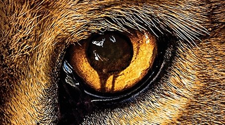 Season 1 (2015) - Season 1 poster and promotional image