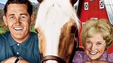 Mister Ed (1961) poster