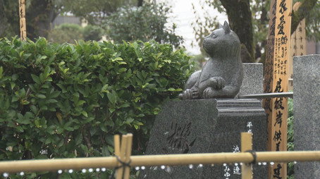 ドキュメント72時間 Сезон 11