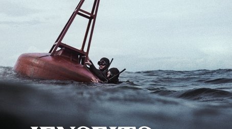 Beyond the Blue Border (2024) poster