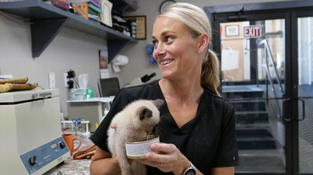 Lord of the Wings (2022) - Episode 1 poster and promotional image