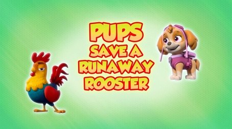 Pups Save a Runaway Rooster (2021) - Episode 1 poster and promotional image