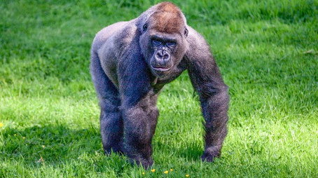 Animal Park Stagione 22