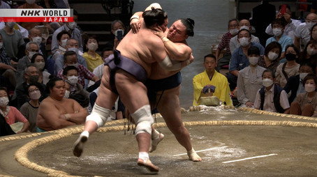 GRAND SUMO Highlights Сезон 13