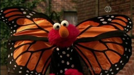Elmo and the Butterfly (2011) - Episode 12 poster and promotional image