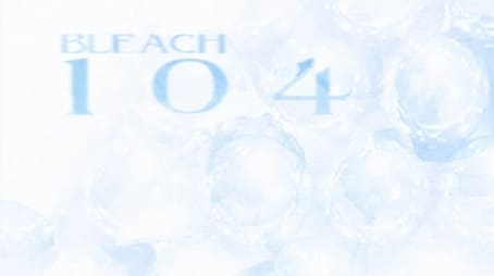 Bleach1104