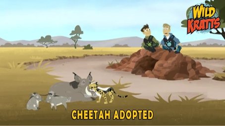 Cheetah Adopted (2017) - Episode 23 poster and promotional image