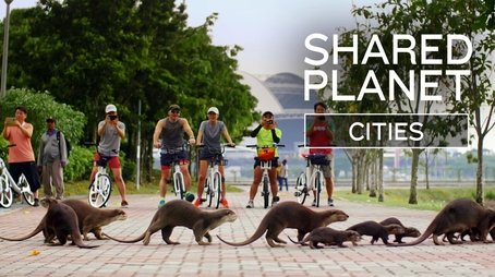 Shared Planet: Cities (2025) - Episode 4 poster and promotional image