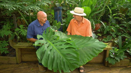 Episode 17 (2019) - Episode 17 poster and promotional image