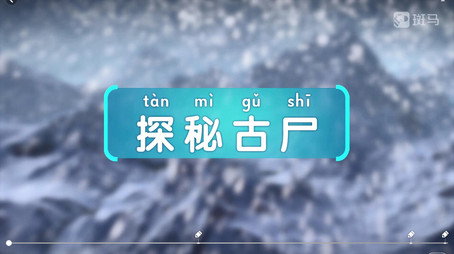 斑马百科 Сезон 21