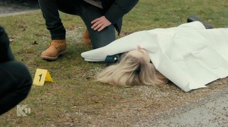 Revenge is lead (2021) - Episode 28 poster and promotional image