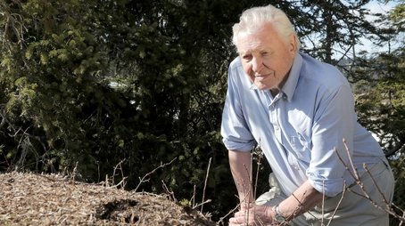 Attenborough and the Empire of the Ants (2017) - Episode 8 poster and promotional image