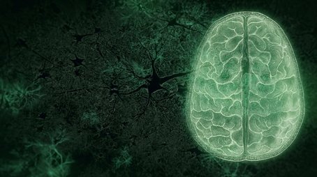 Your Brain: Who's in Control? (2) (2023) - Episode 10 poster and promotional image