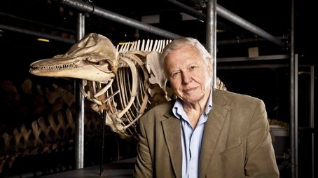 Attenborough's Life Stories: Our Fragile Planet (2013) - Episode 7 poster and promotional image