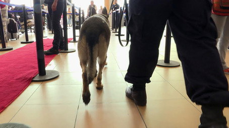 Alerta Aeropuerto Сезон 3