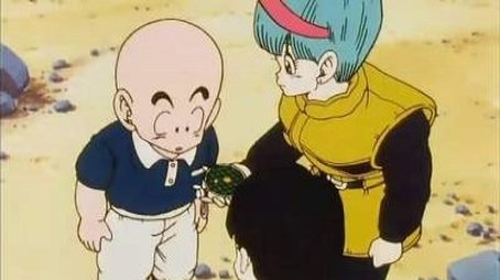 Vegeta erwacht