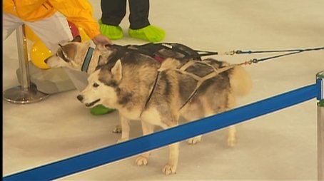Drag the Sled Challenge (2005) - Episode 20 poster and promotional image