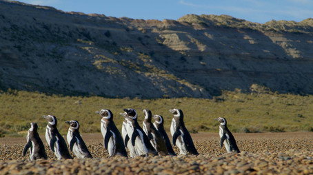 Patagonia: Life on the Edge of the World Сезон 1