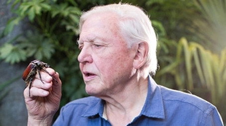Mikroszörnyek Évad 1
