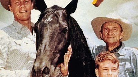 Fury (1955) poster