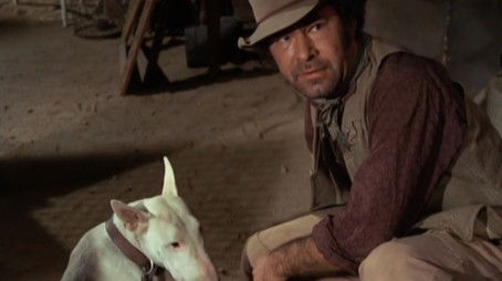 Man's Best Enemy (1972) - Episode 22 poster and promotional image