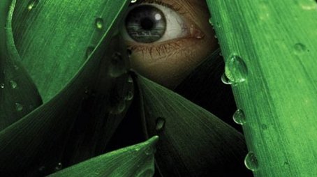 Season 1 (2012) - Season 1 poster and promotional image
