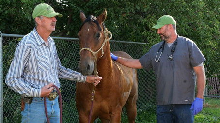 The Cat's Meow (2021) - Episode 4 poster and promotional image