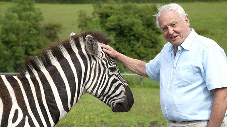David Attenborough's Natural Curiosities Сезон 1