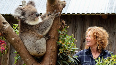 Animal Park Stagione 20