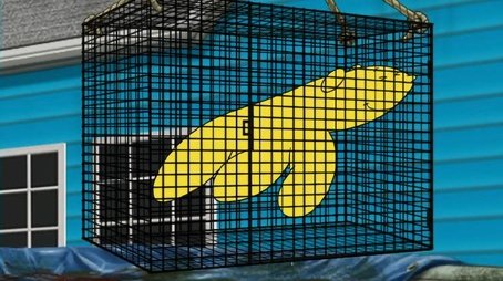 Aqua Teen: Esquadrão Força Total46