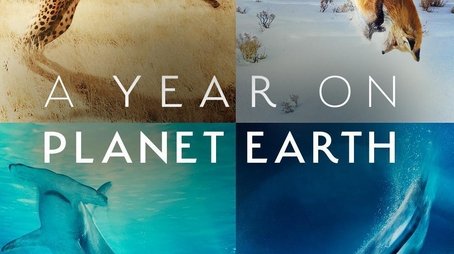 A Year on Planet Earth (2022) poster